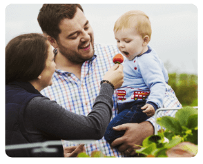 Help and Support Services